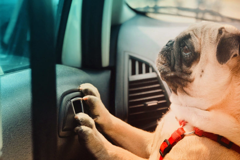 anand-thakur-unsplash__preview image 2